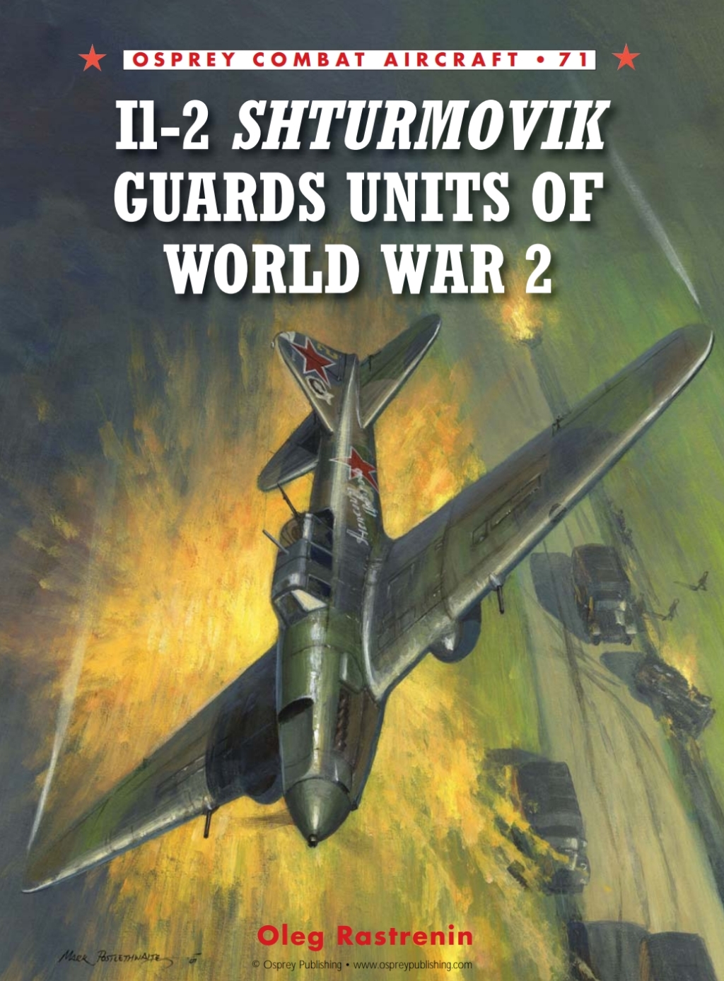 Il-2 Shturmovik Guards Units of World War 2 1st Edition