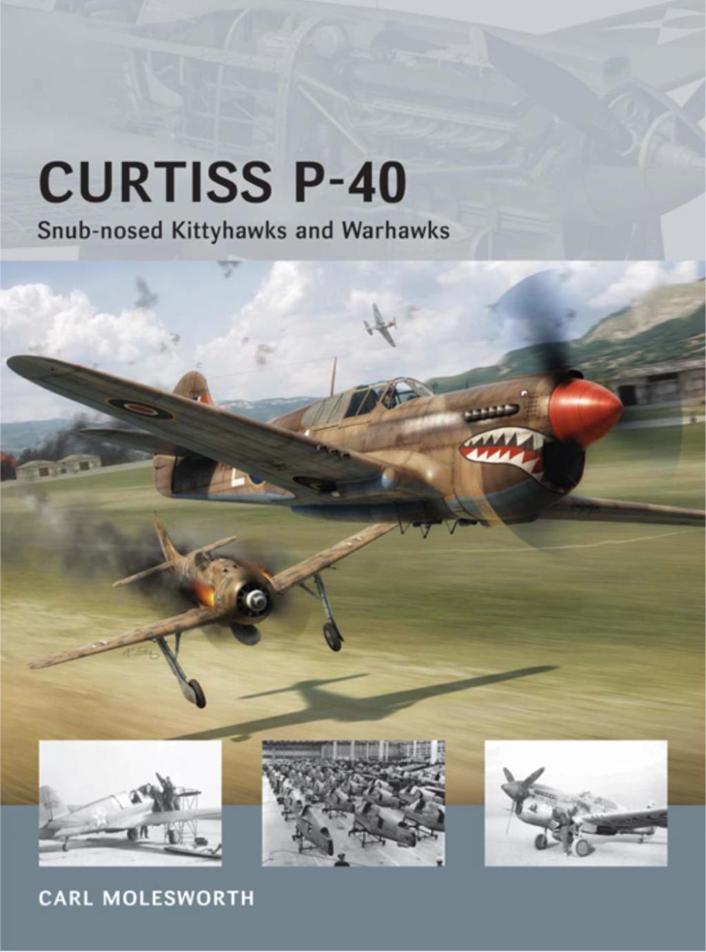 Curtiss P-40 Snub-nosed Kittyhawks and Warhawks 1st Edition