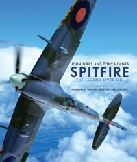 Immagine di copertina: Spitfire 1st edition 9781472815491