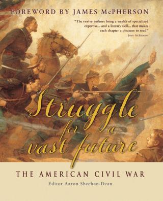 Cover image: Struggle for a vast future 1st edition 9781846032134