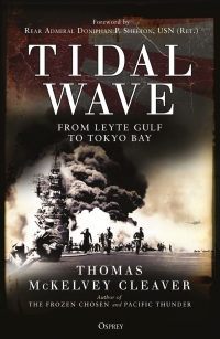 Cover image: Tidal Wave 1st edition 9781472825490