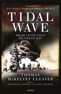 صورة الغلاف: Tidal Wave 1st edition 9781472825490
