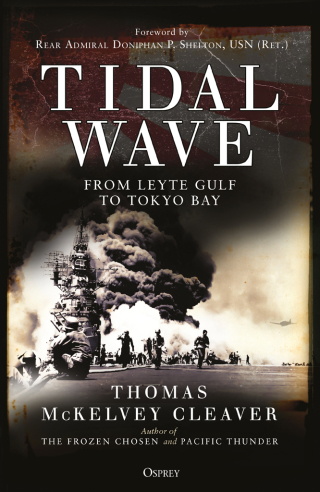 Cover image: Tidal Wave 1st edition 9781472825490
