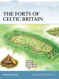 Immagine di copertina: The Forts of Celtic Britain 1st edition 9781846030642