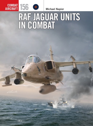 Cover image: RAF Jaguar Units in Combat 1st edition 9781472865250