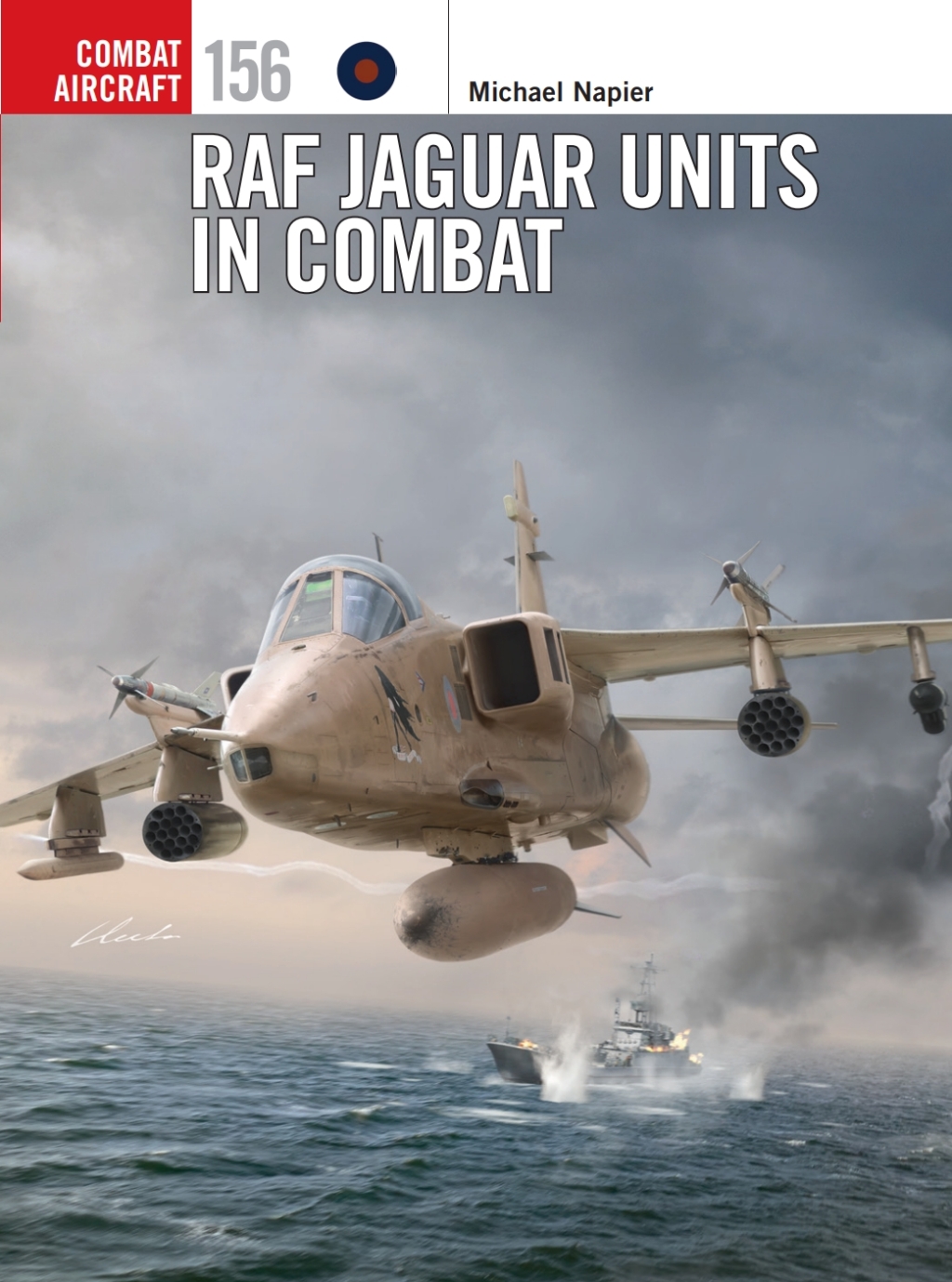 RAF Jaguar Units in Combat 1st Edition