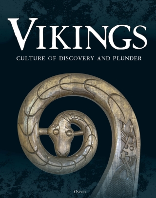 Imagen de portada: Vikings 1st edition 9781472872296