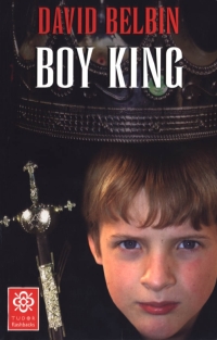 Omslagafbeelding: Boy King 1st edition 9780713663181