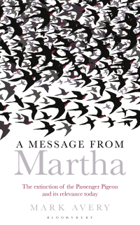 Titelbild: A Message from Martha 1st edition 9781472906274