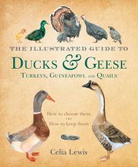 Omslagafbeelding: The Illustrated Guide to Ducks and Geese and Other Domestic Fowl 1st edition 9781408152645