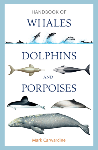 表紙画像: Handbook of Whales, Dolphins and Porpoises 1st edition 9781472908148