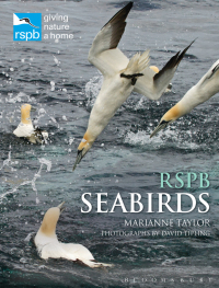 صورة الغلاف: RSPB Seabirds 1st edition 9781472909015