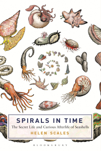 Omslagafbeelding: Spirals in Time 1st edition 9781472911384