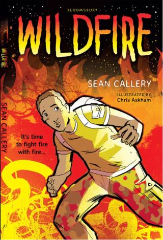 Omslagafbeelding: Wildfire 1st edition 9781472911810