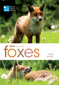 Cover image: RSPB Spotlight: Foxes 1st edition 9781472912091