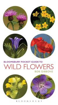 Cover image: Pocket Guide To Wild Flowers 1st edition 9781472913289