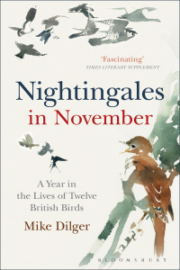 Cover image: Nightingales in November 1st edition 9781472915351