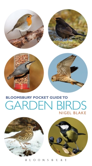 Cover image: Pocket Guide To Garden Birds 1st edition 9781472909855