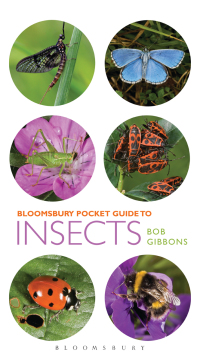 صورة الغلاف: Pocket Guide to Insects 1st edition 9781472909152