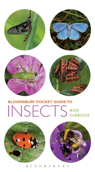 Cover image: Pocket Guide to Insects 1st edition 9781472909152