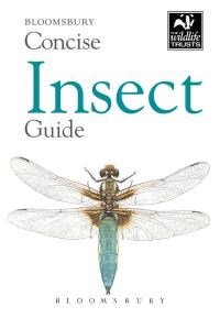 Imagen de portada: Concise Insect Guide 1st edition 9781472909978
