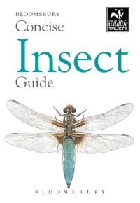 صورة الغلاف: Concise Insect Guide 1st edition 9781472909978