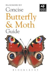 Cover image: Concise Butterfly and Moth Guide 1st edition 9781472963772