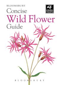 Immagine di copertina: Concise Wild Flower Guide 1st edition 9781472963802