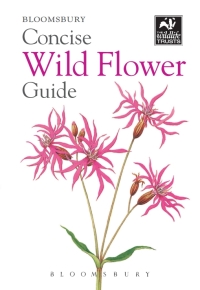 表紙画像: Concise Wild Flower Guide 1st edition 9781472963802