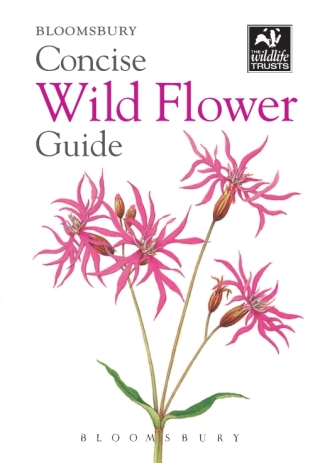 Cover image: Concise Wild Flower Guide 1st edition 9781472963802