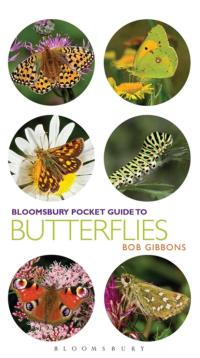 صورة الغلاف: Pocket Guide to Butterflies 1st edition 9781472915924