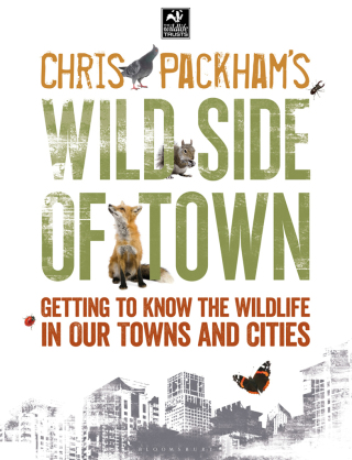 صورة الغلاف: Chris Packham's Wild Side Of Town 1st edition 9781472916051