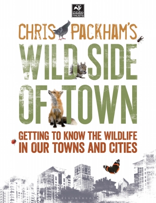 Cover image: Chris Packham's Wild Side Of Town 1st edition 9781472916051