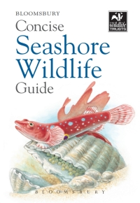 Omslagafbeelding: Concise Seashore Wildlife Guide 1st edition 9781472968296