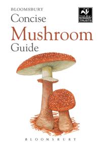Imagen de portada: Concise Mushroom Guide 1st edition 9781472911742