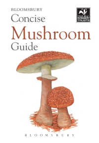 Titelbild: Concise Mushroom Guide 1st edition 9781472911742