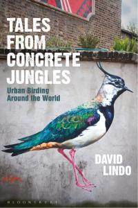 Cover image: Tales from Concrete Jungles 1st edition 9781472918376
