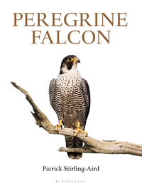 Omslagafbeelding: Peregrine Falcon 1st edition 9781472918666