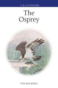 Imagen de portada: The Osprey 1st edition 9781472992611