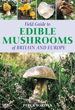 表紙画像: Field Guide To Edible Mushrooms Of Britain And Europe 1st edition 9781472920836