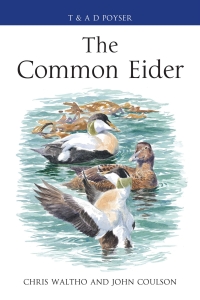 Omslagafbeelding: The Common Eider 1st edition 9781408125328