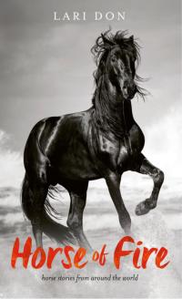 Immagine di copertina: Horse of Fire 1st edition 9781472920966