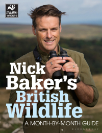 Omslagafbeelding: Nick Baker's British Wildlife 1st edition 9781472912053