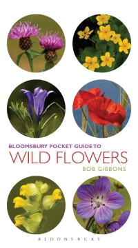 Cover image: Pocket Guide To Wild Flowers 1st edition 9781472913289