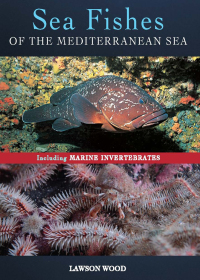 Omslagafbeelding: Sea Fishes Of The Mediterranean Including Marine Invertebrates 1st edition 9781472921789