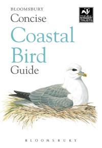 Imagen de portada: Concise Coastal Bird Guide 1st edition 9781472963819
