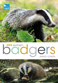 Cover image: RSPB Spotlight: Badgers 1st edition 9781472971746