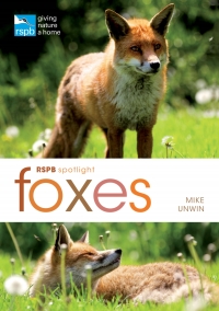 صورة الغلاف: RSPB Spotlight: Foxes 1st edition 9781472912091