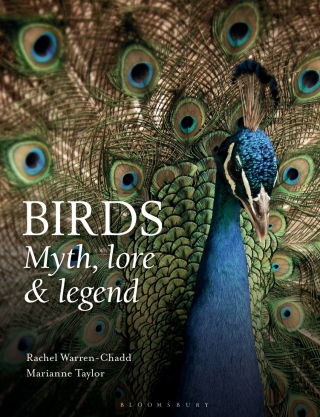 表紙画像: Birds: Myth, Lore and Legend 1st edition 9781472922861