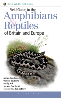Titelbild: Field Guide to the Amphibians and Reptiles of Britain and Europe 1st edition 9781472970428